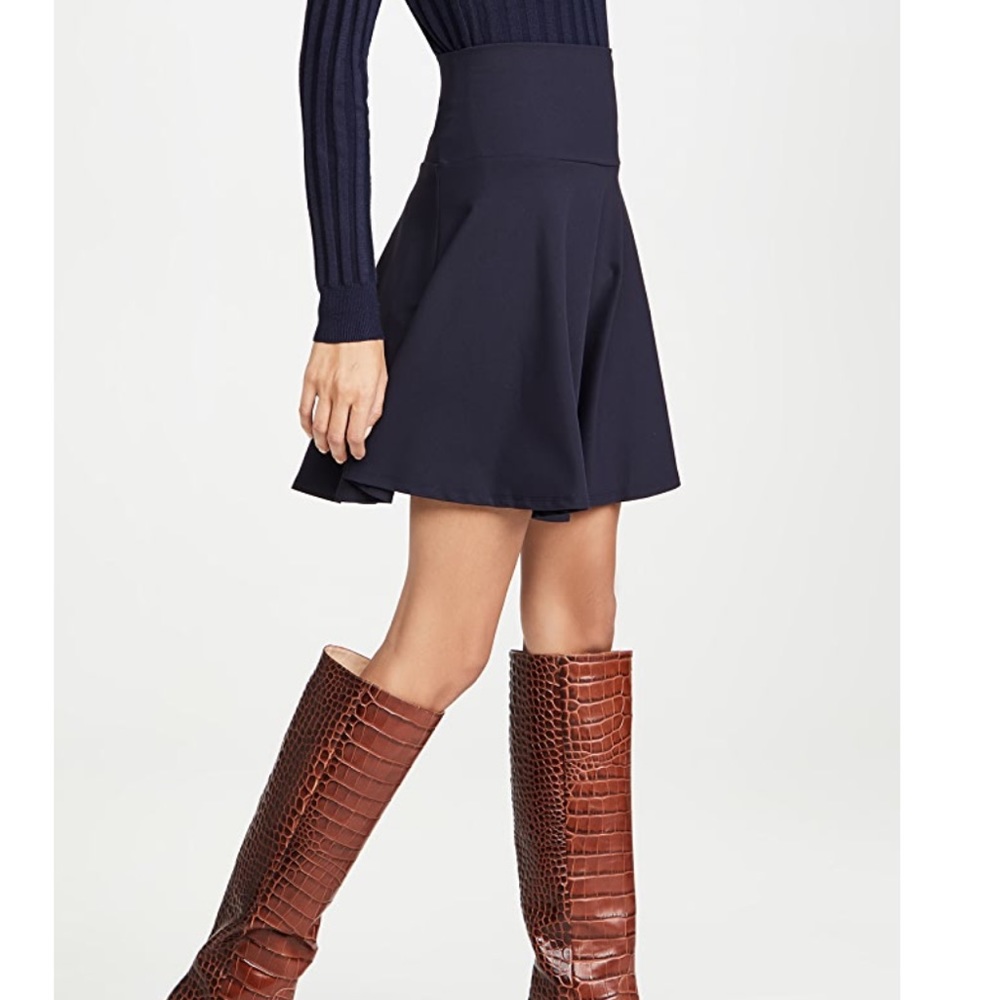 Susan Monaco high waist flair skirt